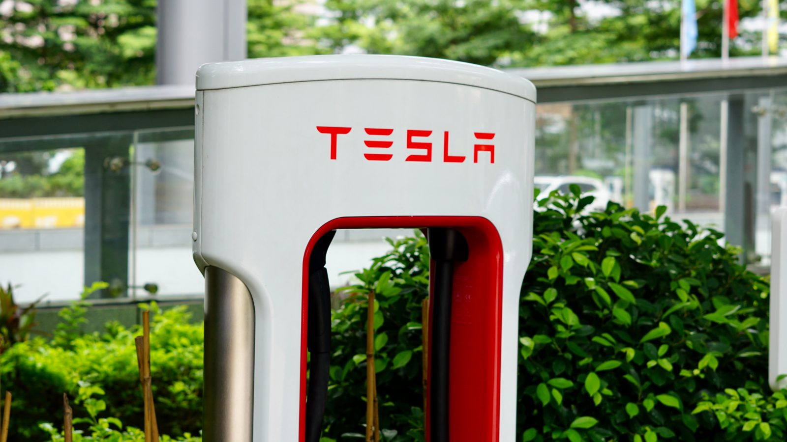 Zap-Map's EV Charging Survey - Rundown of Findings